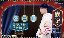 娱乐圈爆料张哲,娱乐圈爆料背后的真相与争议